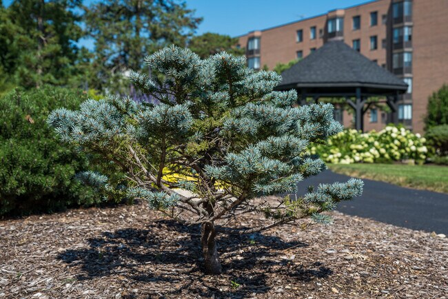 Foto del edificio - 626 E Woodland Park Ave