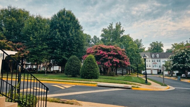 Building Photo - 11511 Cavalier Landing Ct