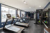 This fitness center is thoughtfully designed to support a comprehensive workout experience across a single floor. The space is finished with deep navy blue walls, recessed lighting, and durable dark rubber flooring, creating a sleek, athletic ambiance throughout.

The cardio zone runs along one side of the room, lined with large windows that admit generous natural light and views of the surrounding exterior. A row of Matrix treadmills, ellipticals, and stationary bikes—including Levels cycling bikes—are arranged to take advantage of this natural light, giving the area an open, energizing feel.

Opposite the cardio equipment, a floor-to-ceiling mirror expands the sense of space along the strength training wall. A full Octagon modular power rack system anchors this zone, accompanied by a comprehensive tiered dumbbell rack stocked with a wide range of weights. Medicine balls and additional accessories are neatly organized nearby.

A separate, quieter area of the fitness center houses a functional trainer cable machine alongside open floor space for stretching or floor exercises. A wall-mounted art piece and a dedicated storage unit with shelving for towels and accessories add a polished, amenity-grade finish. The overall layout balances cardio, strength, and functional training in a cohesive, professionally outfitted environment.