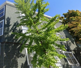 Building Photo - 344 Putnam Ave