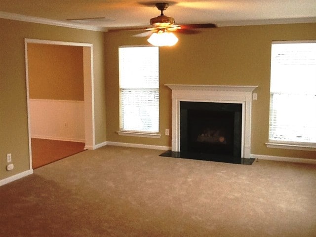 Building Photo - 121 Hayfield Court