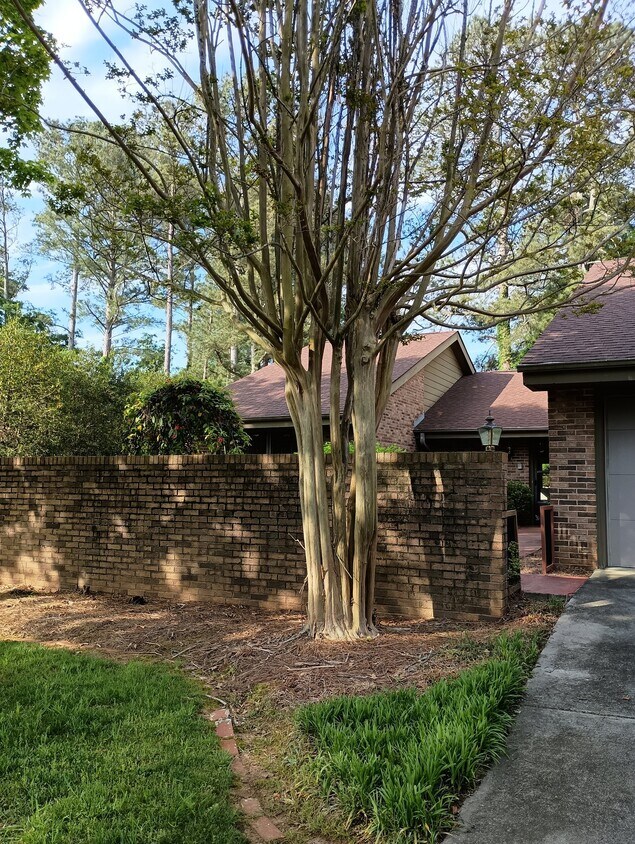 Foto del edificio - 34 Hickory Way