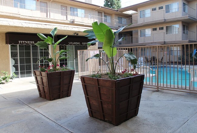 Patio - Somerset Place Apartments