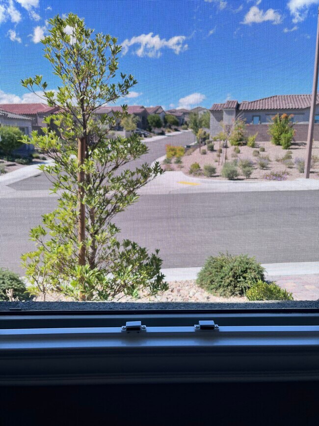 Vista desde la ventana del armario - 118 Nine Mile Creek Dr