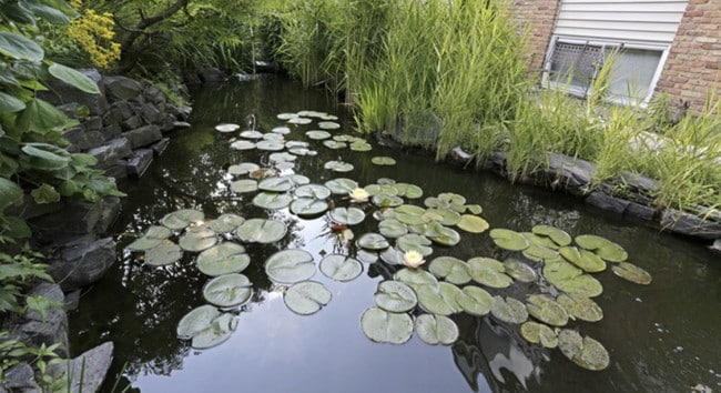 Building Photo - 1011 Francis Dr