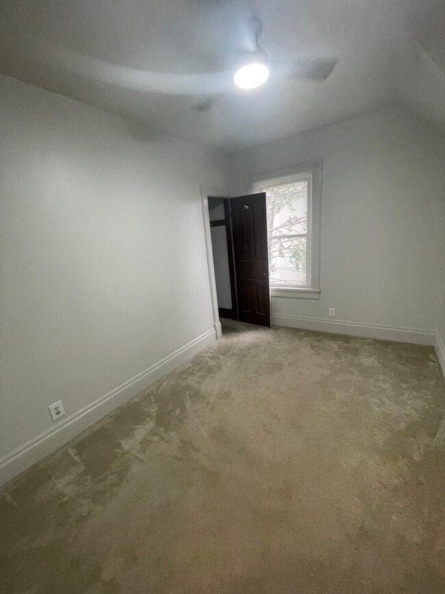 Building Photo - 56 Louisa St