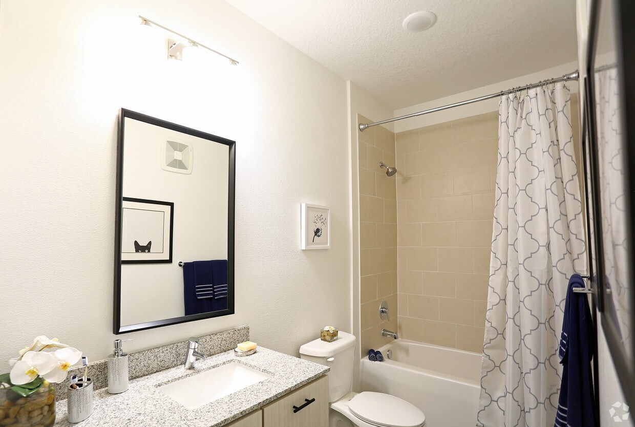 Sole At Brandon Apartments Riverview Fl Apartments Com