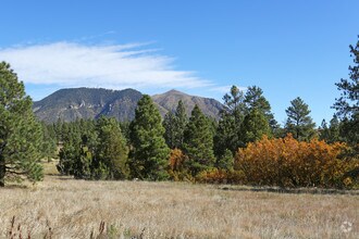 Other - Ponderosa Park