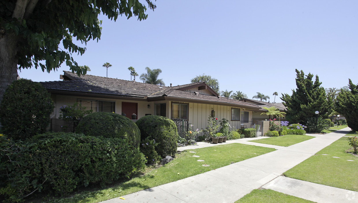 Primary Photo - Coco Palms Apartments