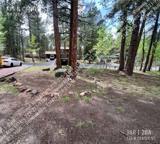 Building Photo - Cozy home in Woodland Park