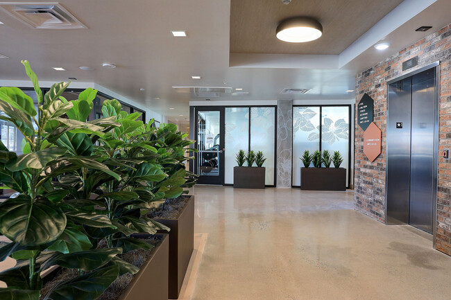 Lobby Elevator - Brickhouse at Lamar Station