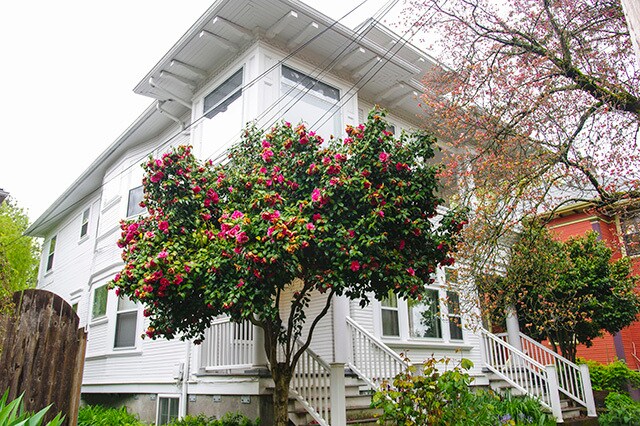 Photo - 1625 SE Pine St House