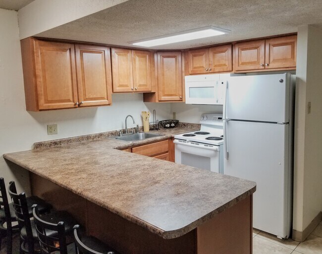 Newly Renovated Kitchen with 8' Eating Countertop - 222 W Beaver Ave