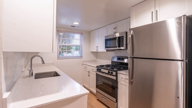 Cocina con electrodomésticos de acero inoxidable - Sheffield Court