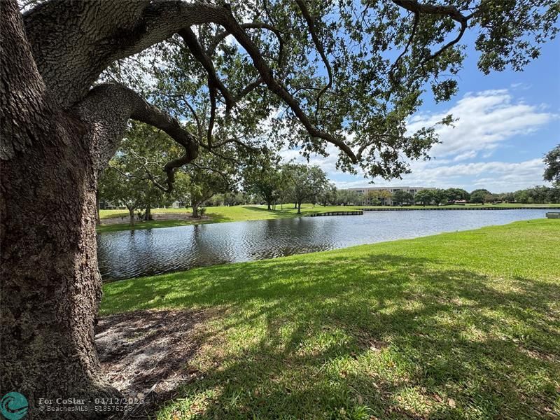 Primary Photo - 9441 Live Oak Pl