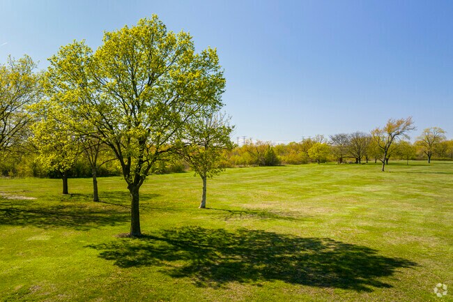 Shady oak trees in Brownell Woods give Lynwood residents a cool place to picnic.
