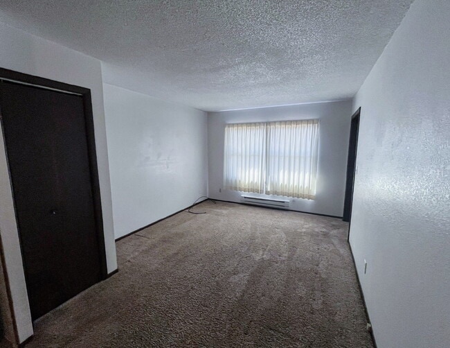 Building Photo - 2-3 3 Michael St