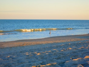 Building Photo - 3150 N Atlantic Ave Building Photo - 3150 N Atlantic Ave