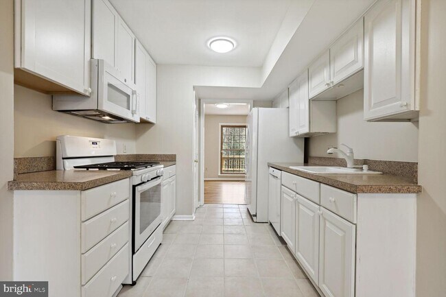 Building Photo - 1535 Chatham Colony Ct