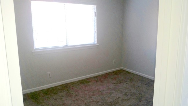 Brand new carpet in bedroom - Lots of light! - 1806 Chapel Hill Rd