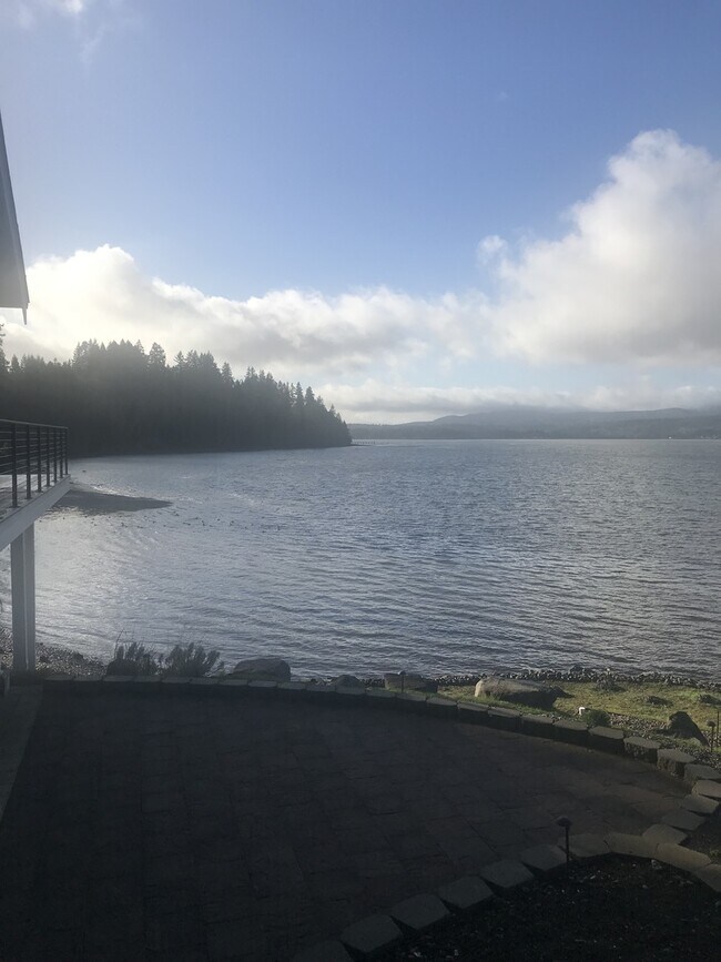 Foto del edificio - Beautiful Tracyton Studio