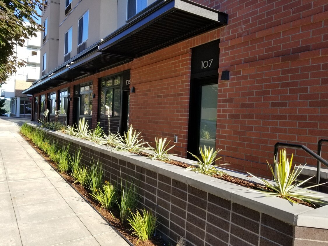 Corner Unit - 239 4th St