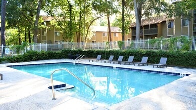 Swimming Pool - Treehouse Village