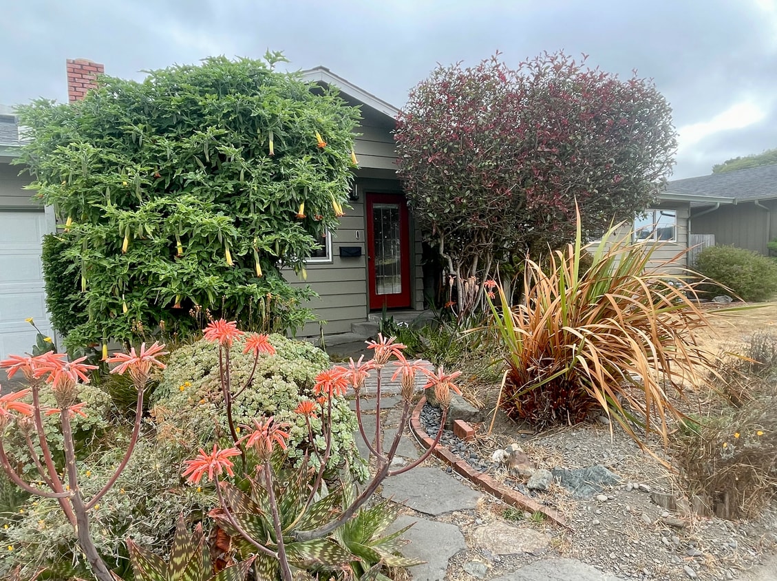 1987 Upper Bay Rd, Arcata, CA 95521 House Rental in Arcata, CA