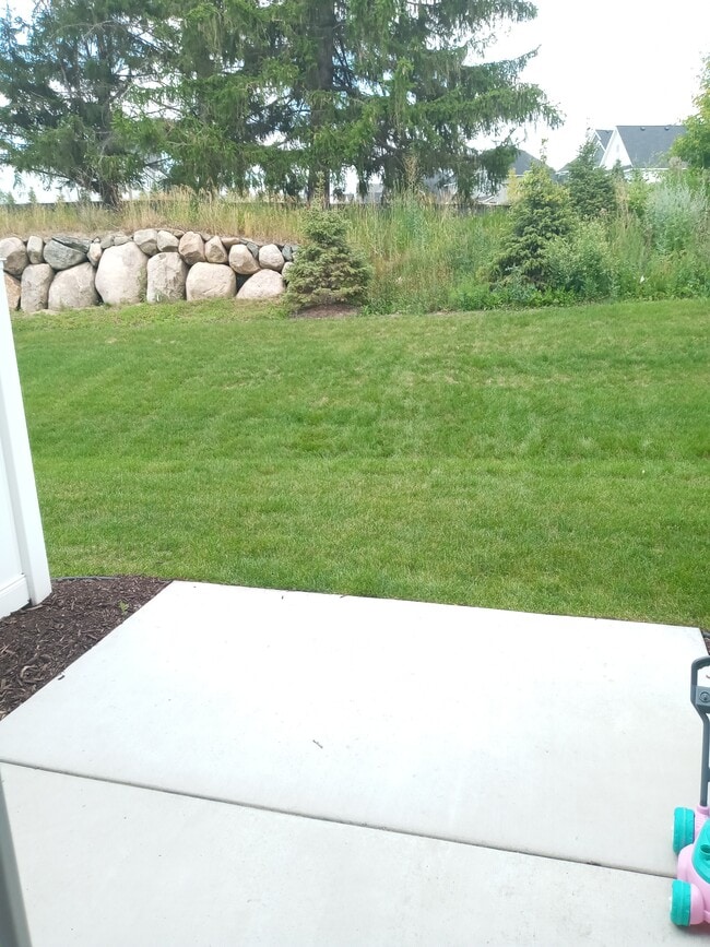Backyard view 2 - 18398 60th Ave N