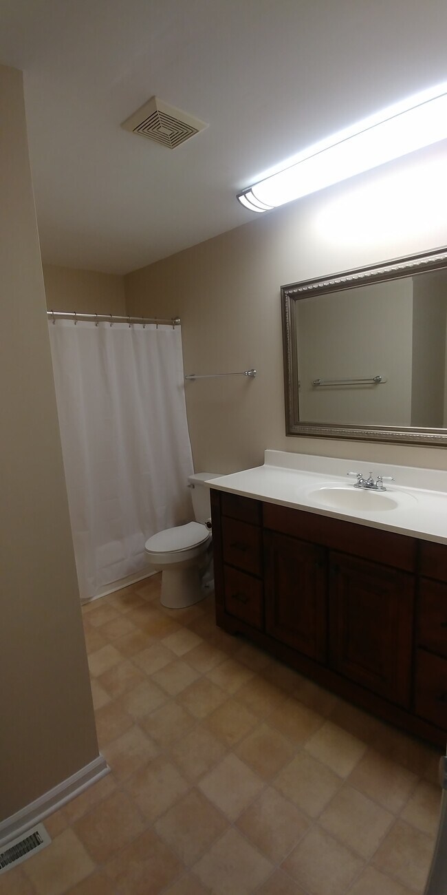 Main Bath - 1062 Carol Jean Trl