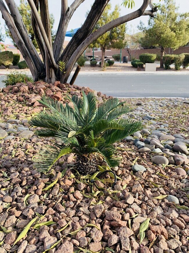 Foto del edificio - 759 Crimson Peak Pl