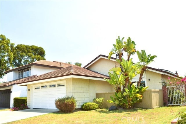 Primary Photo - 3 Silver Fir