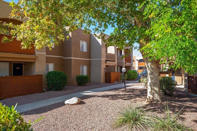 Foto del interior - College Town Tucson