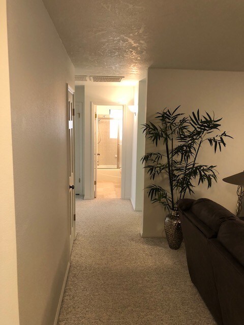 Building Photo - 3344 Chaparral Dr