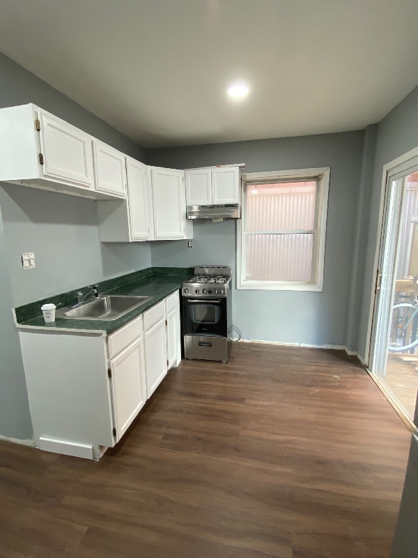 Photo - 1623 S Carpenter St Apartment