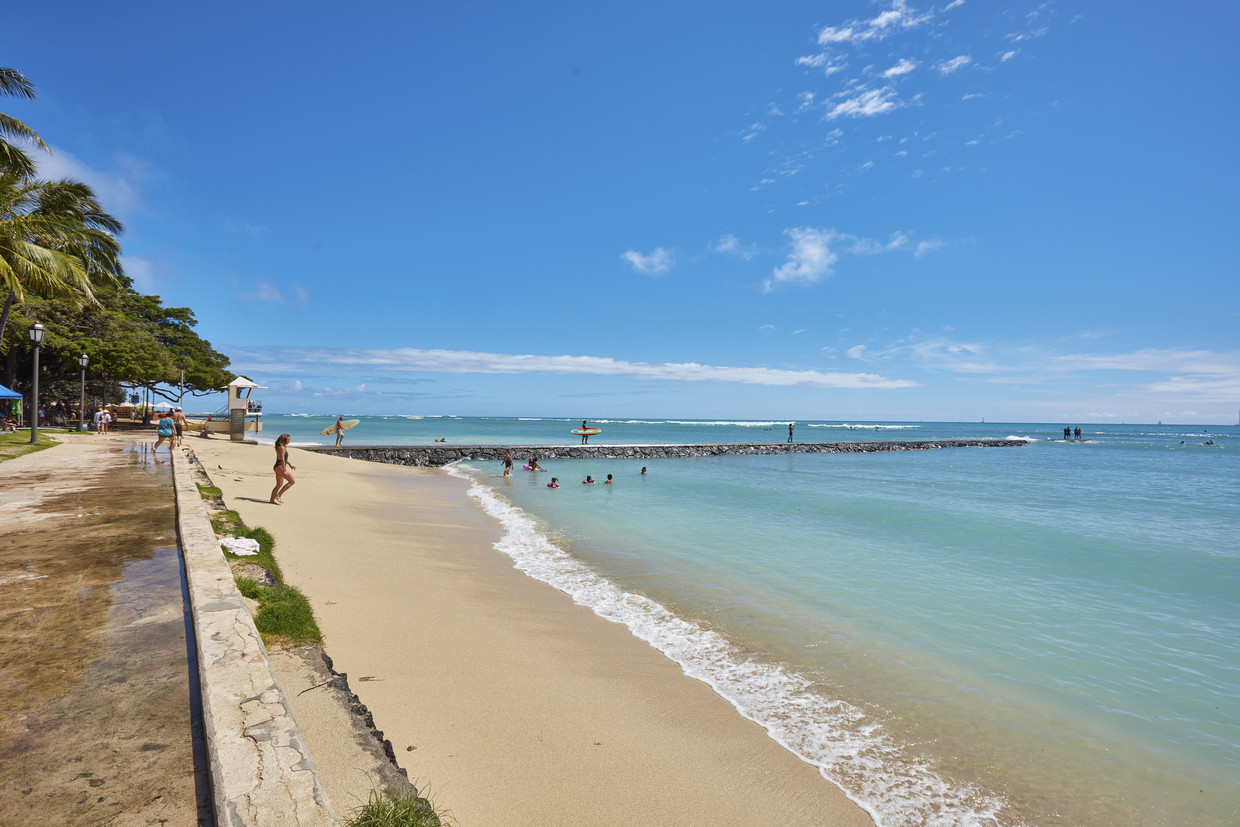 Beautiful Waikiki Beach - 201 ?Ohua Ave