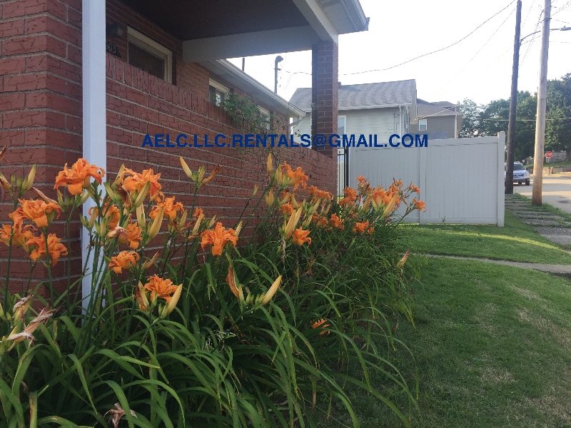 903 Penn St, Brackenridge, PA 15014 House for Rent in Brackenridge