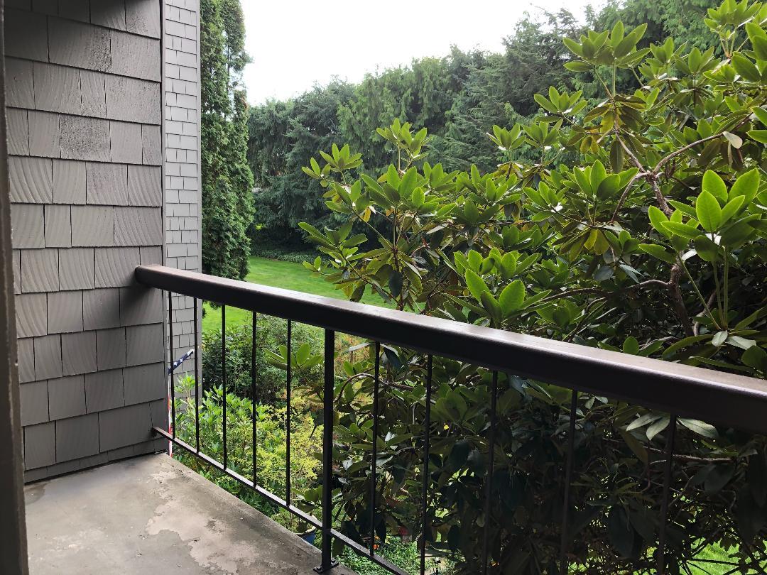 6479 137th Ave NE Unit 362, Redmond, WA 98052 Condo for Rent in