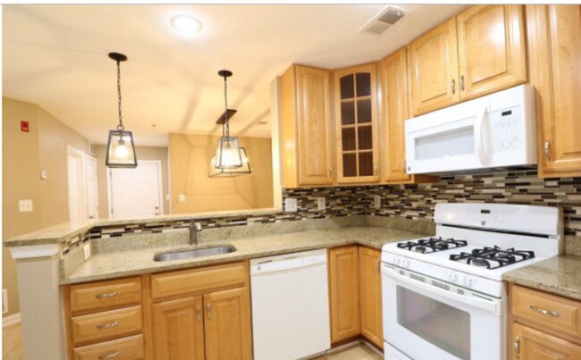 Building Photo - 18701 Sparkling Water Dr