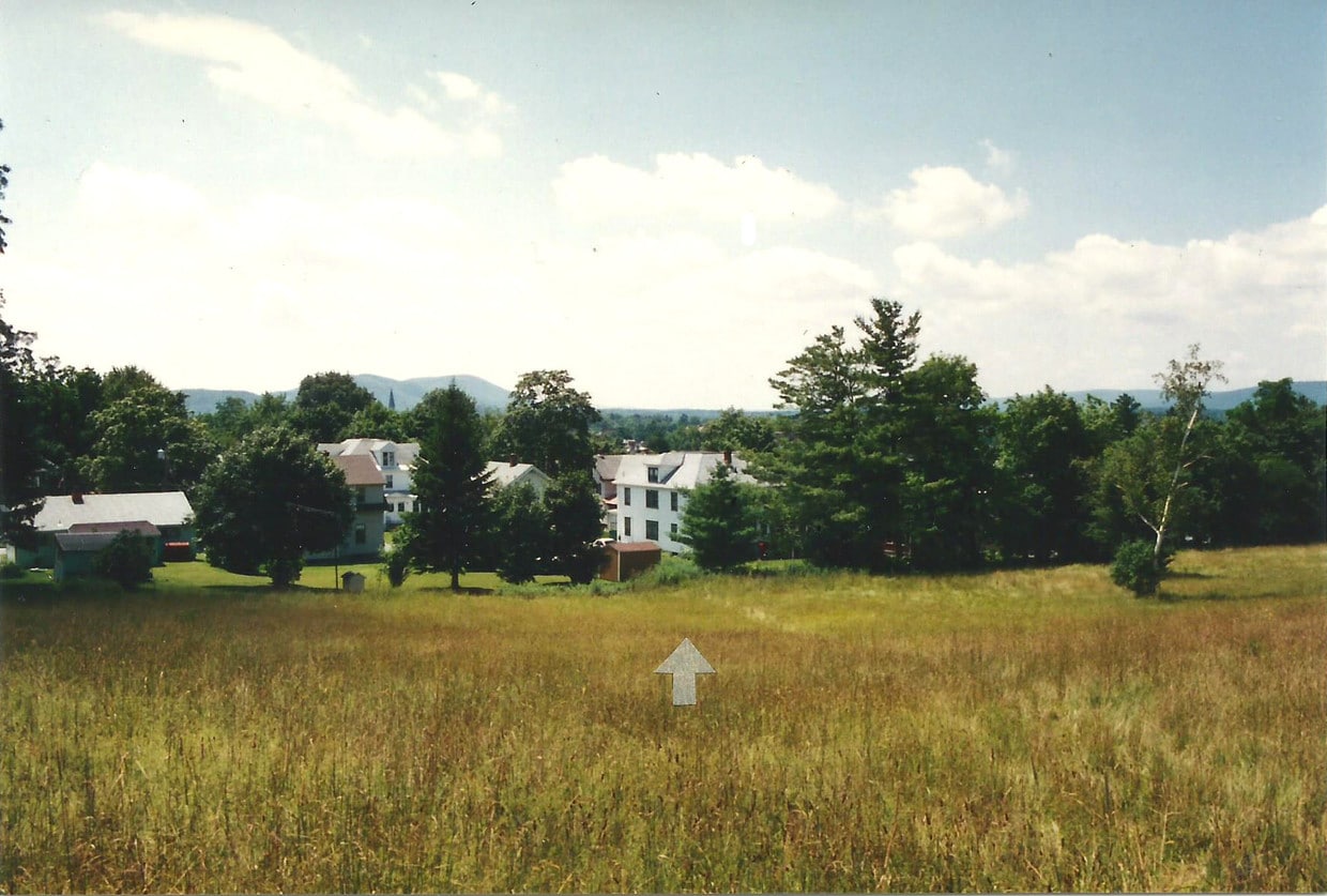 Looking down from Springside Park - 35 Abbott St