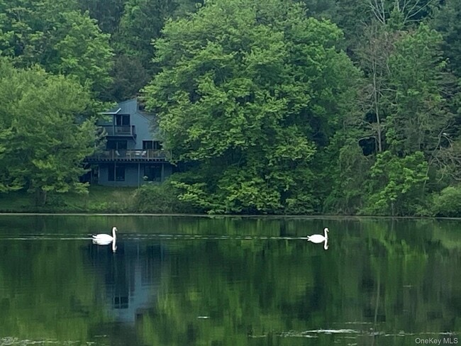 Building Photo - 46 Patricia Ln