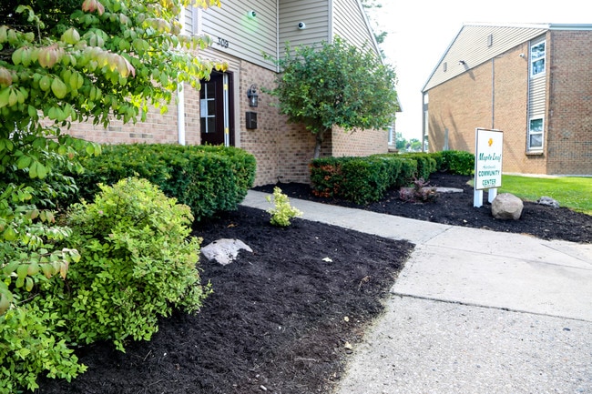 Building Photo - Maple Leaf Apartments