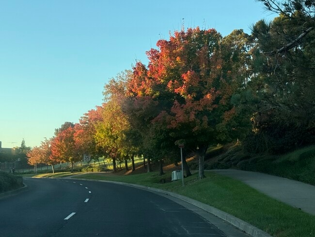 Foto del edificio - 2033 Silvercrest Dr