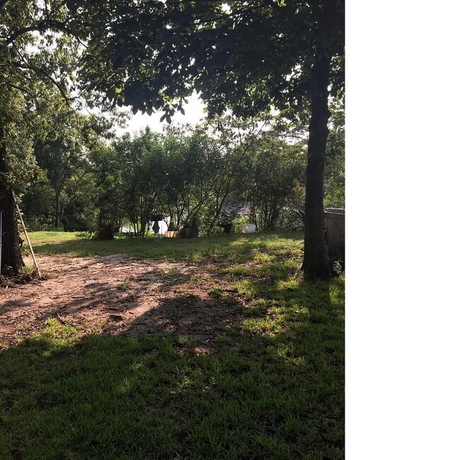 view from backyard fence - 10980 Forest Gln