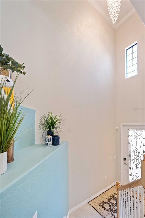 Foto del edificio - 10817 Tarflower Dr