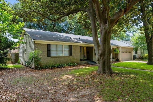 Foto del edificio - Adorable Broadmoor rental!