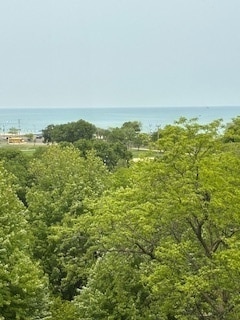 Building Photo - 1555 N Dearborn Pkwy
