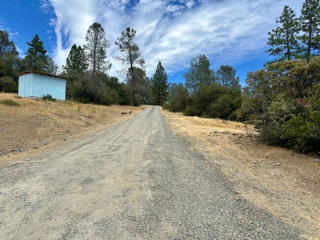 Foto del edificio - 3 Bedroom 2 Bath nestled in Grass Valley