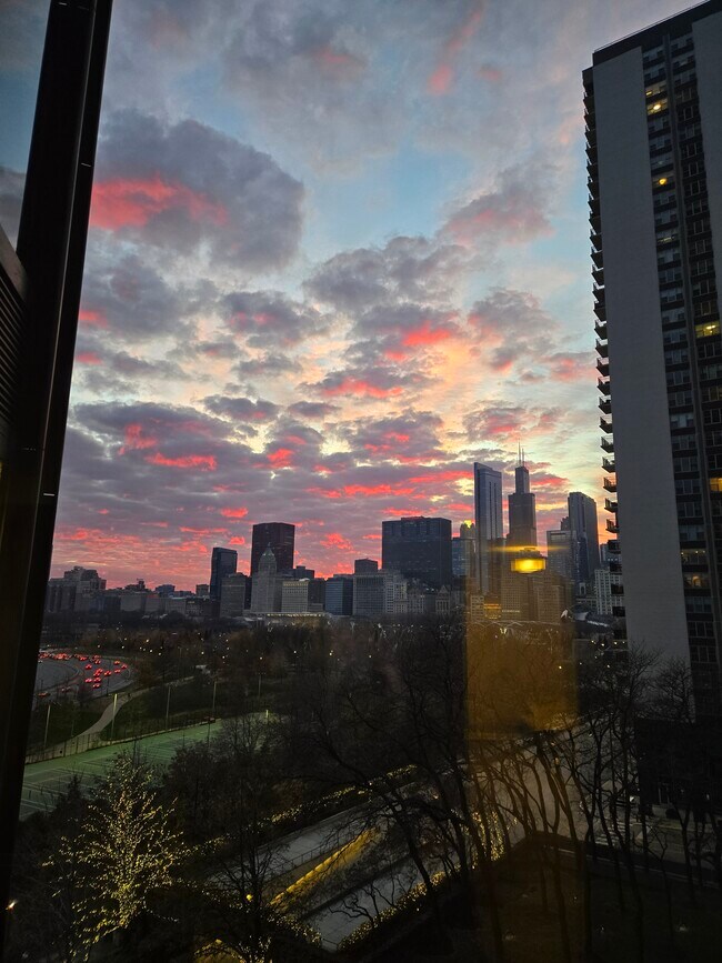 Vista nocturna - 155 N Harbor Dr