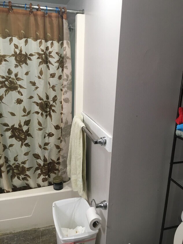 New towel bars, tp bar. - 807 Main St